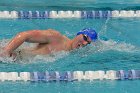 MSwim vs USCGA  Men’s Swimming & Diving vs US Coast Guard Academy. : MSwim, swimming